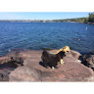 Meet your Posher, Barbara